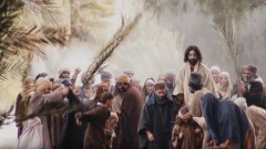 View Matthew 21:1-11 - Entry into Jerusalem  [bzj]