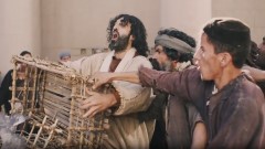 View Matthew 21:12-22 - Clearing the Temple  [bzj]